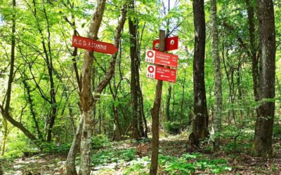 Prvi Meridiana Slavonica Trail