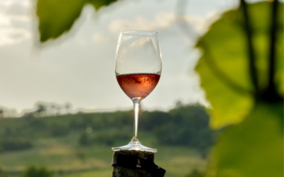 Lipanj nam donosi novi “Zalazak u vinogradu”!