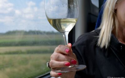 Na Zalazak u vinogradu i ove godine vozi izletnički vlak iz Zagreba!