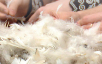 KUD „Graničar“ Lužani organizira 26. Čijalo perja