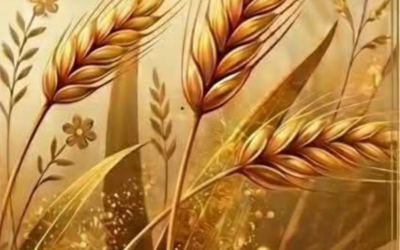 KUD „Luka Ilić Oriovčanin“ organizira zabavu „Šokačka korpica“